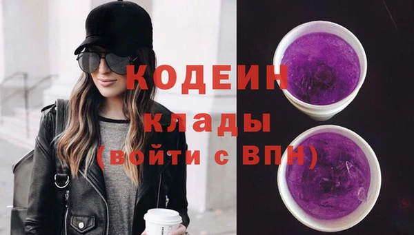 дурь Снежногорск