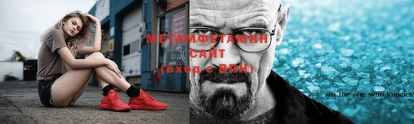 крисы Богородицк