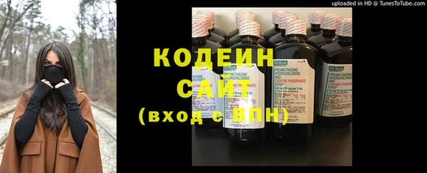 крисы Богородицк