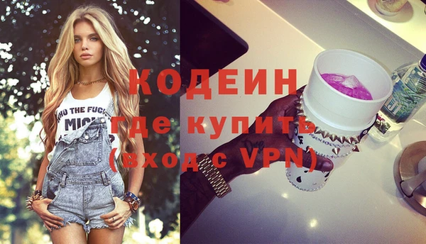 крисы Богородицк