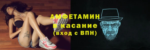 крисы Богородицк