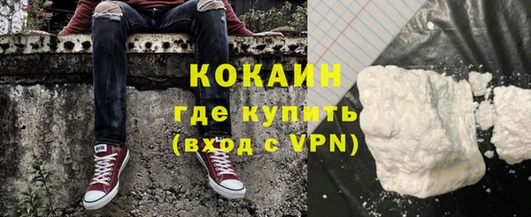 крисы Богородицк