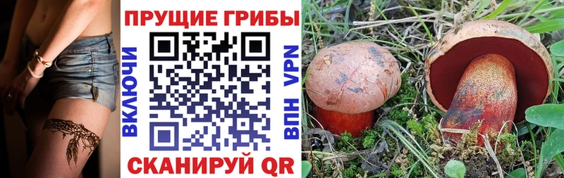 цена наркотик  Оха  Псилоцибиновые грибы мухоморы 